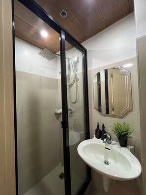 Shower, hair dryer, bidet, towels