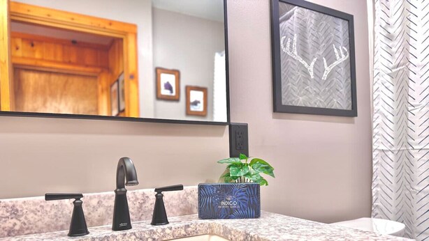 A bathroom with a granite countertop, a sink, and a mirror. There is a framed picture on the wall and a plant in a box. - Rustic Luxe w/ Creek & Privacy (Bartlett)