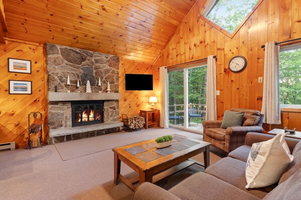 Smart TV, chimenea y libros