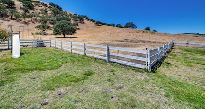 Fenced Yard & Outdoor Bar: Hillside Paicines Home!