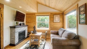 TV, fireplace, books
