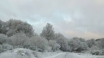 A snow-covered road flanked by dense, leafless trees.