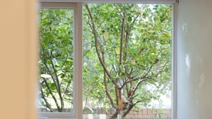 A small, cozy room with a single round chair, a small table, and a window overlooking a tree and brick wall. - Honeyeater Hidden Gem—Stylish Courtyard in the CBD (North Adelaide)