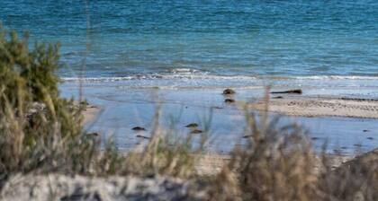 Aqua by the Sea - Beachfront with Pool & Gym