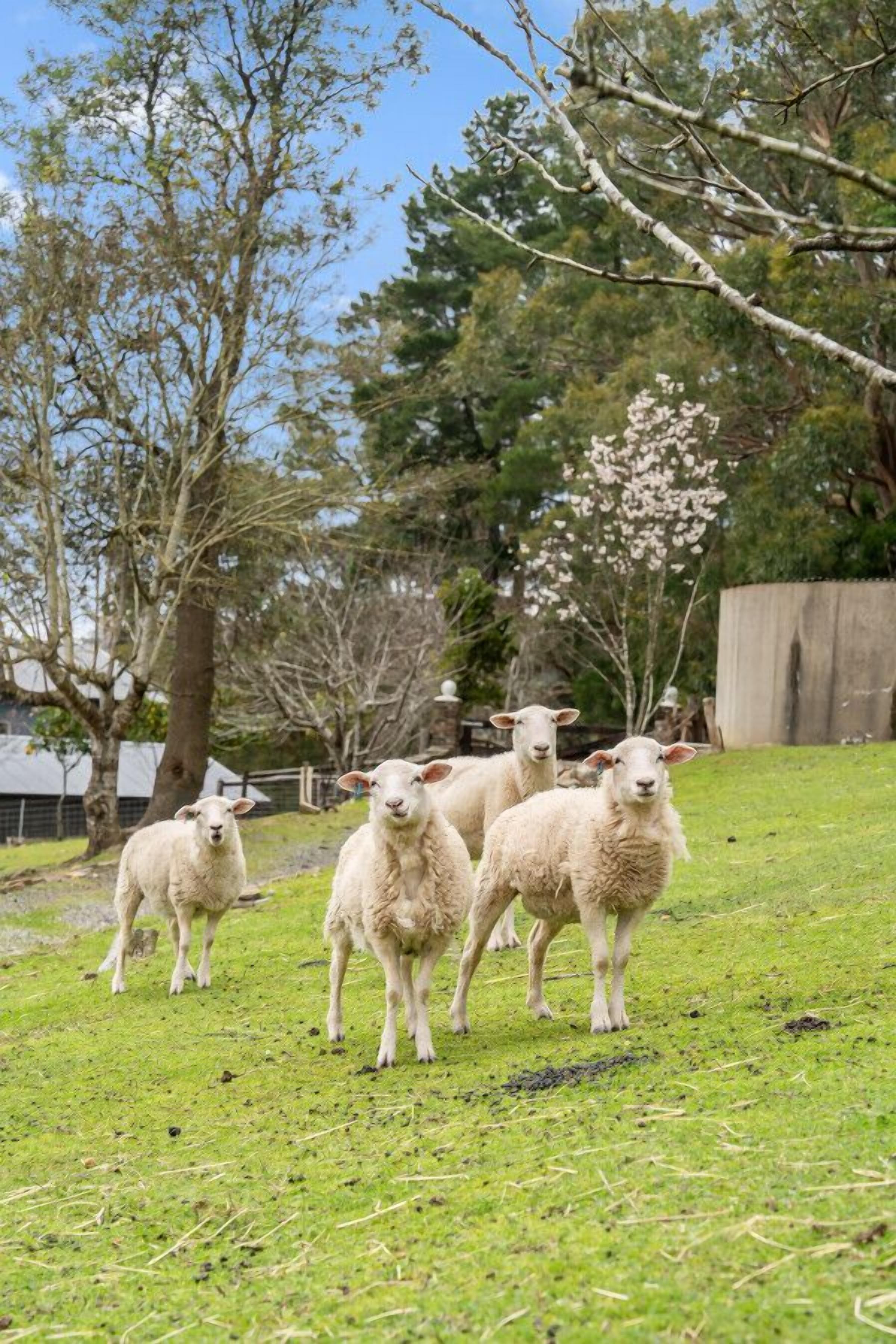 Jardines del alojamiento