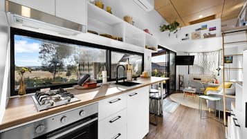 Fridge, oven, stovetop, toaster