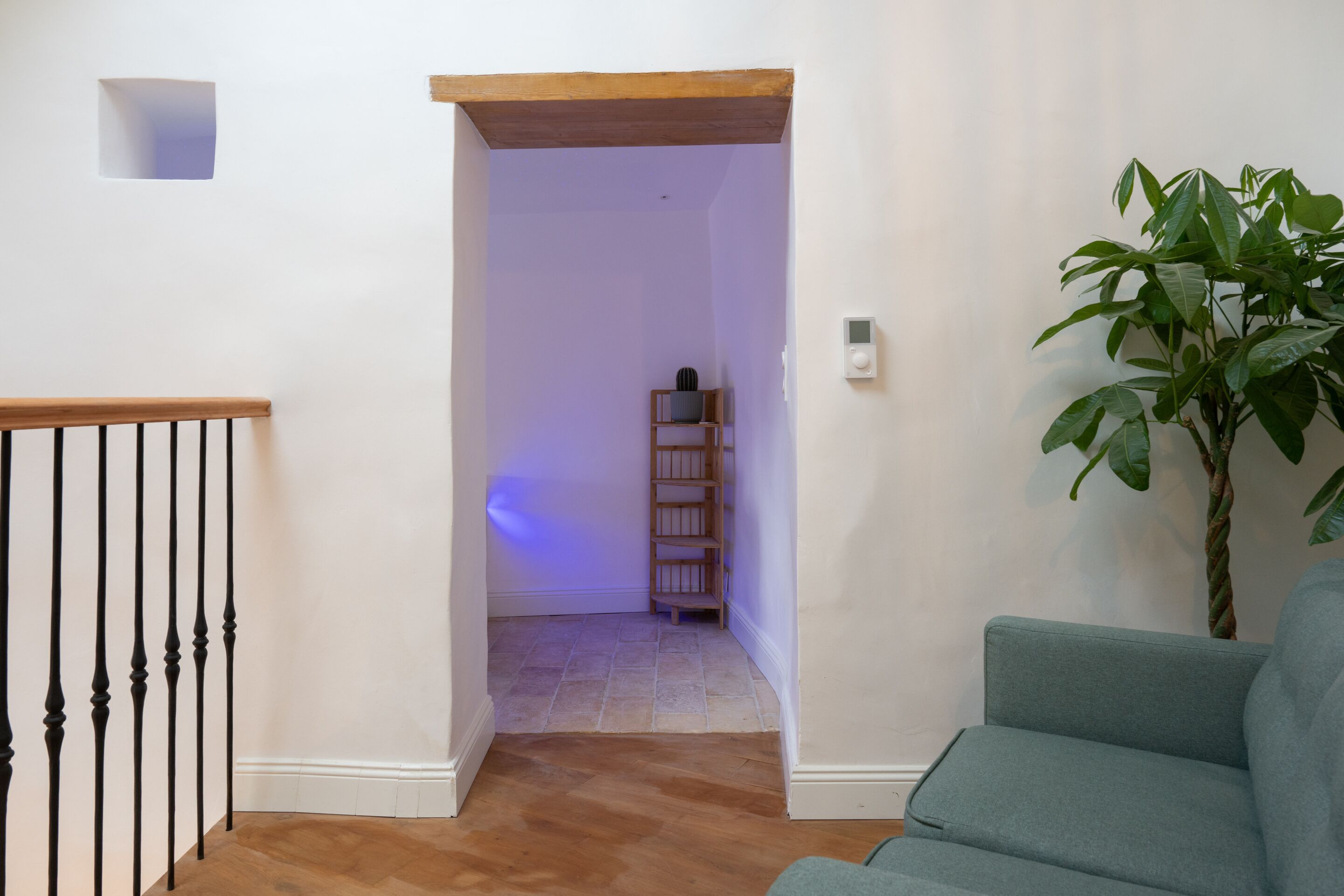 Un couloir avec un escalier en bois, une petite étagère ornée d’un objet décoratif et une plante en pot.