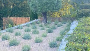 Un jardin aménagé avec une variété de plantes, un banc en bois et un arbre.