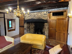 Smart TV, fireplace, books, stereo