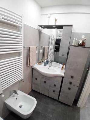 Shower, hair dryer, bidet, towels
