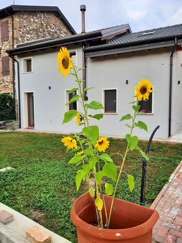 casa Agribon punto di partenza per le dolomiti bellunesi
