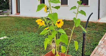 casa Agribon punto di partenza per le dolomiti bellunesi