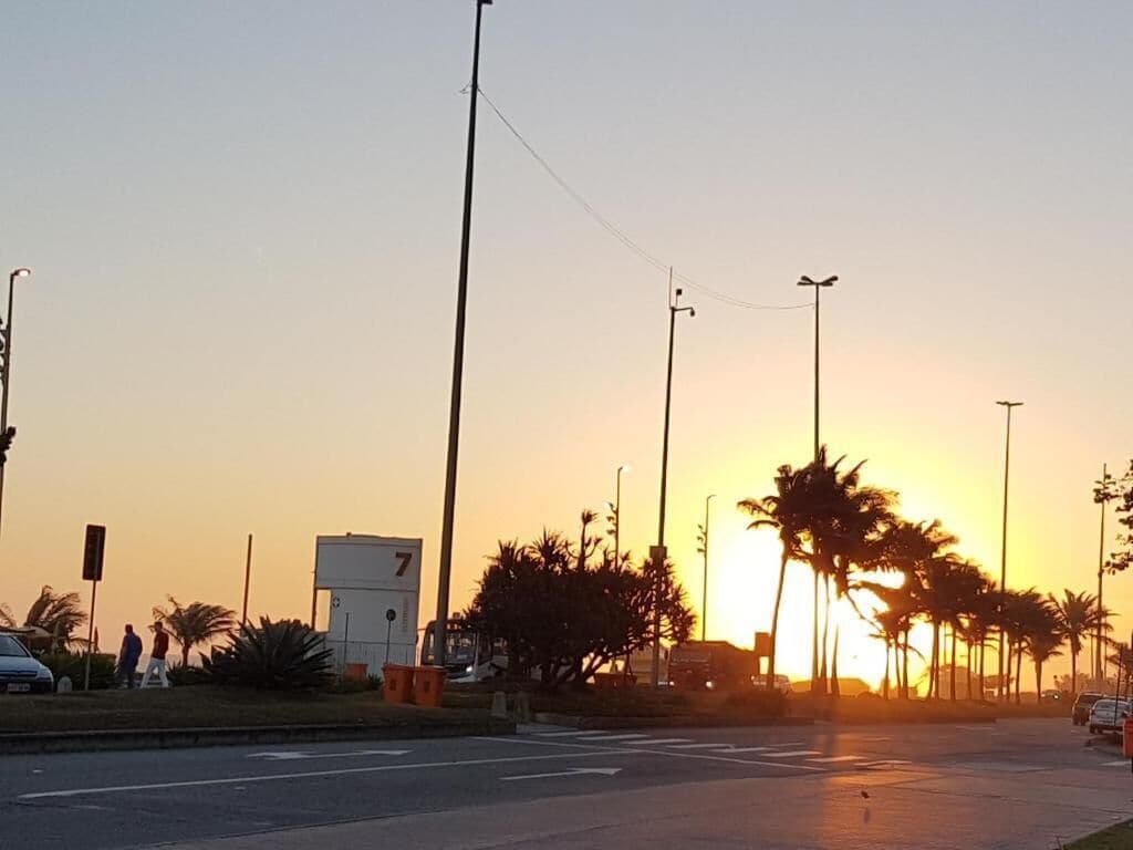 A sunset view with palm trees and street lamps.