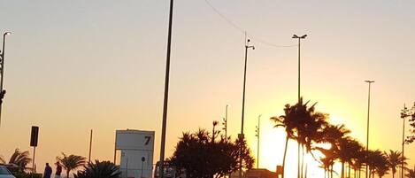A sunset view with palm trees and street lamps.