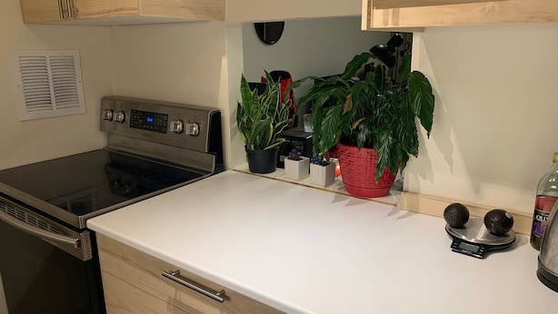 A kitchen with a stainless steel stove, wooden cabinets, a white countertop, and a potted plant. - Spacious Studio in Heart of Harvard Square! (Cambridge)