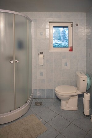 Shower, hair dryer, towels, soap