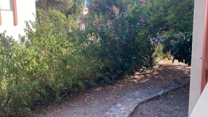 A garden path with dense foliage and a building on the left.