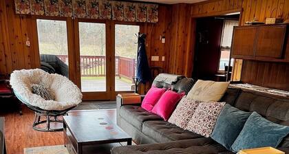 Spacious Hudson Valley retreat. Relax by the fire and enjoy the wildlife.