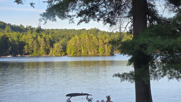 Une terrasse au bord du lac, avec un bateau, des chaises et un barbecue.