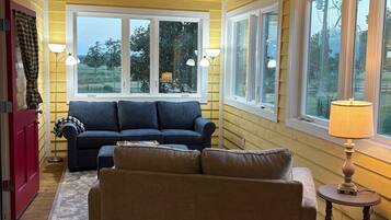 TV connectée, cheminée, lecteur de DVD