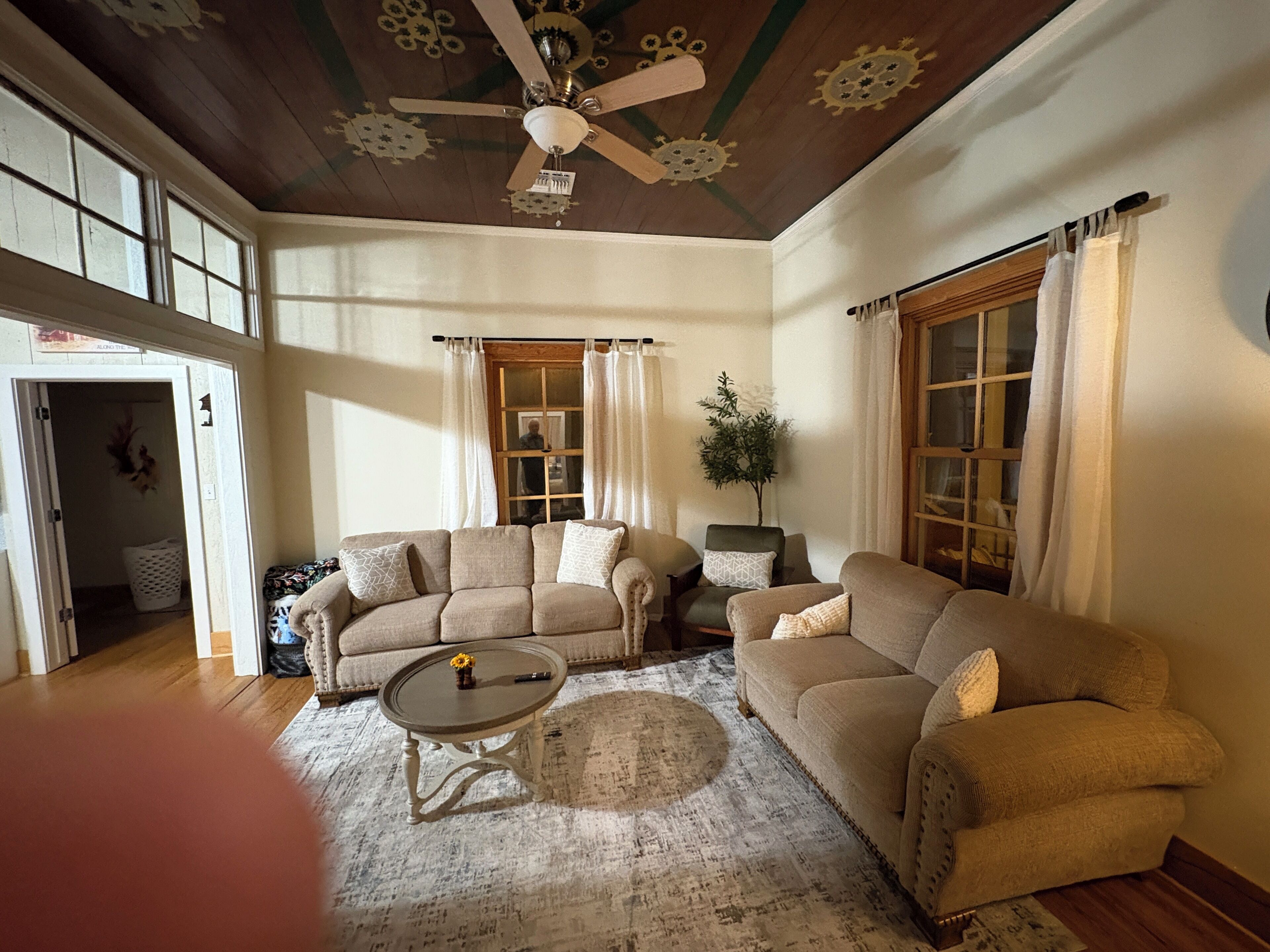 TV connectée, cheminée, lecteur de DVD