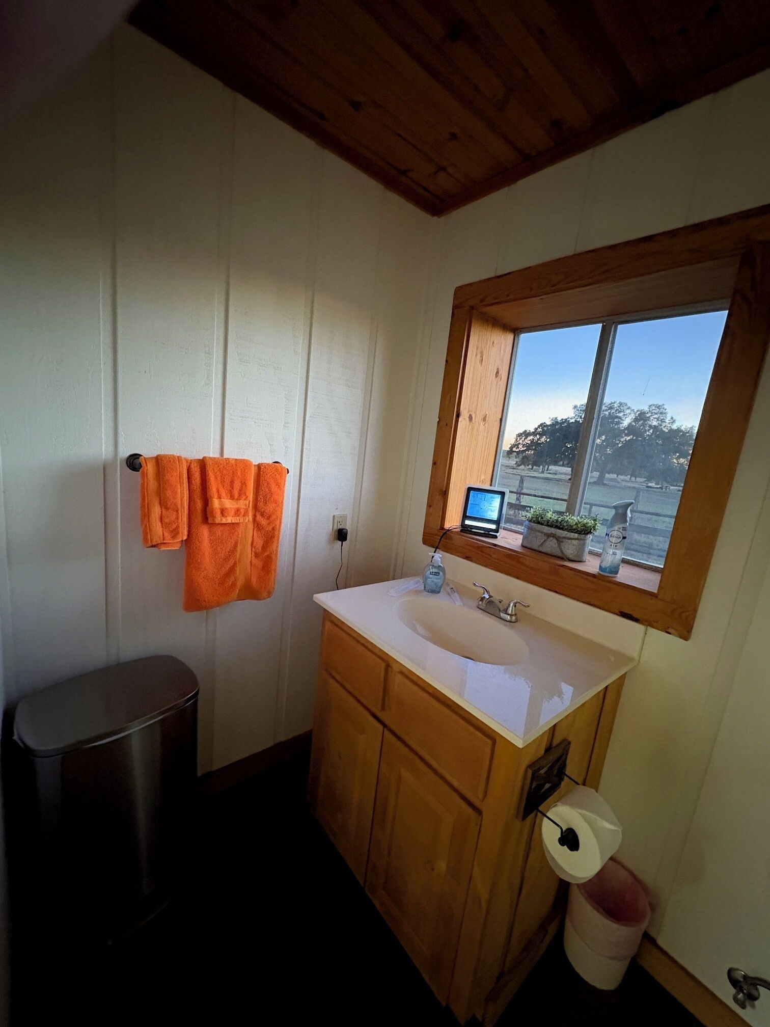 A bathroom with a wooden vanity, a sink, a mirror, and a window offering a view of a park.