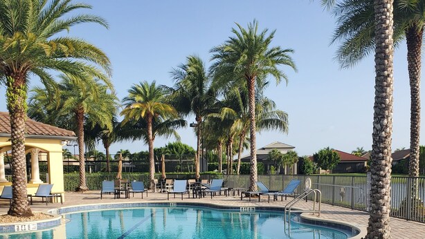 A clear swimming pool with lounge chairs and palm trees, surrounded by a fence and buildings in the background.