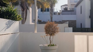 A modern building with a white facade, a small tree in a planter, and a palm tree in the background. - Comfortable Villa Algarve for up to 10 guests (Alcantarilha)