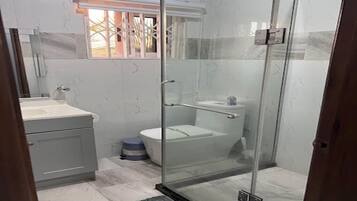 Shower, towels, soap, toilet paper