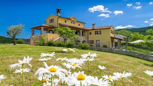 Une grande maison jaune, dotée de fondations en pierre, de nombreuses cheminées et d’un vaste jardin à l’avant, agrémenté de fleurs blanches.