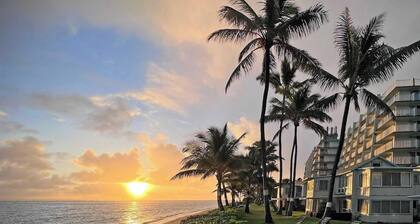 Ground Level Beachfront Studio