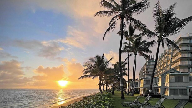 A beachfront hotel with palm trees, a sunlit ocean view, and a row of sun loungers. - Beachfront Studio Retreat (Hauula)