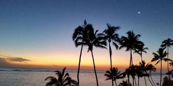 在海滩