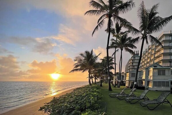 Unclassified image, 1 of 43, button