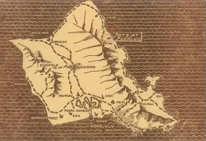 Unclassified image, 4 of 30, button