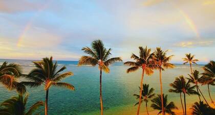 Luxurious Beachfront Condo
