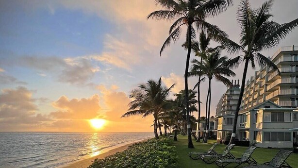 Ein Strandhotel mit Palmen, einem sonnendurchfluteten Meerblick und einer Reihe von Liegestühlen.