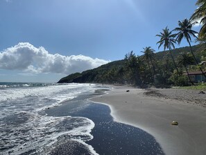 A beach with waves, palm trees, and a hilly backdrop. - WELCOME TO GUADELOUPE FWI (Le Gosier)