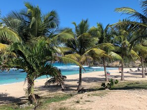 Beach nearby - WELCOME TO GUADELOUPE FWI (Le Gosier)
