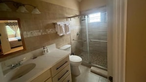 A bathroom with a sink, mirror, toilet, and shower.