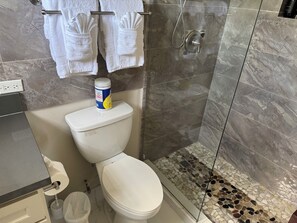 Douche, séchoir à cheveux, serviettes fournies, savon