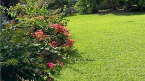A well-maintained lawn with a variety of flowering plants and shrubs.