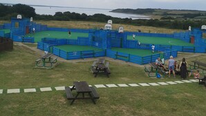 Una cancha deportiva con barreras azules y piso verde, rodeada de mesas de picnic y bancos.