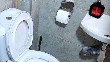 Shower, towels, soap, toilet paper