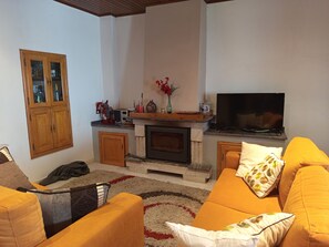 Télévision, cheminée, lecteur de DVD, livres