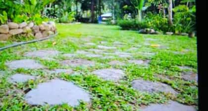 Princess Palace - Looc