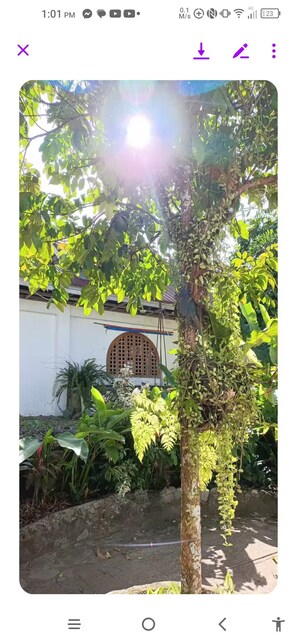 Área da propriedade