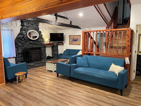 TV, DVD player, books, video library