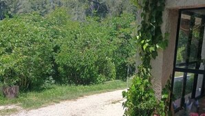 A gravel path leading to a house with a potted plant of pink flowers. - Lovely country T2 near town center! (Aix-en-Provence)