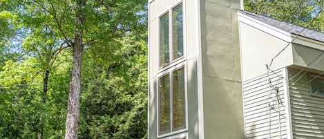 A modern house with a large window, surrounded by lush greenery and a tall tree.